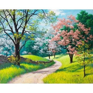 pictură pe numere – drumul primăverii în grădina Înflorită – pânză pe Șasiu lemn 40x50 cm