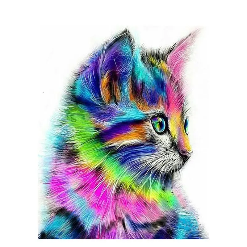 pictură pe numere – pisicuța curcubeu – pânză pe Șasiu lemn 40x50 cm pictură pe numere – pisicuța curcubeu – pânză pe Șasiu lemn 40x50 cm