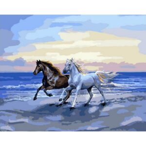pictură pe numere – libertate pe Țărm: cai pe plaja – pânză pe Șasiu lemn 40x50 cm