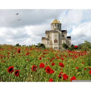 pictură pe numere – catedrala din câmpul de maci: spiritualitate și natură – pânză pe Șasiu lemn 40x50 cm