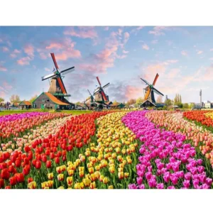 pictură pe numere – paradisul lalelelor: morile de vânt din zaanse schans – pânză pe Șasiu lemn 40x50 cm